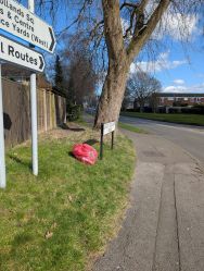 March litter pick March litter pick